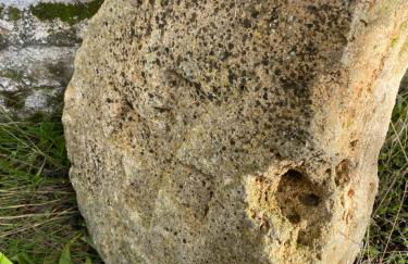 Casa Rural El Gerbal - Photo 22