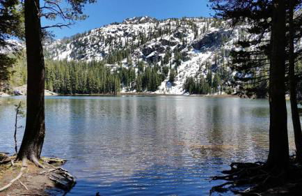 Lakeland Village #110 - Foto 43