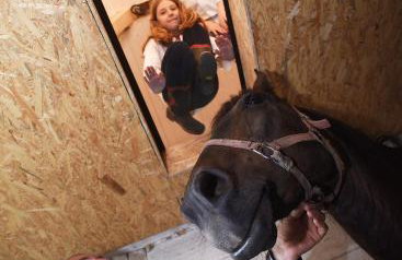 Robinson Horseville - Foto 33