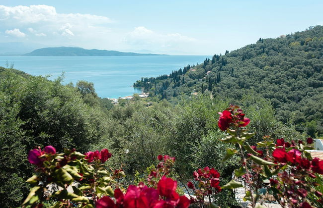 Nausica House - Foto 25