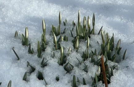 Ferienwohnung Juttchen - Photo 43
