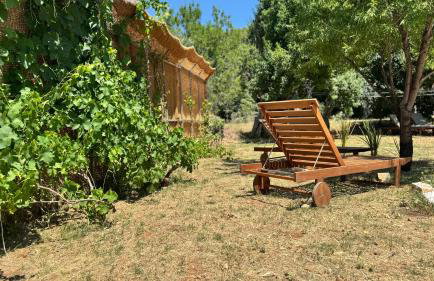 Dolce Terra - Photo 45