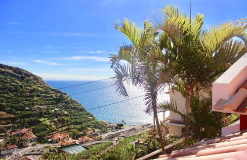 Pink House - Photo 1