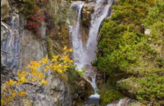 Location MarjoRI - T2 Le Paruline - Foto 7