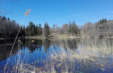 L'appart de lônes - Foto 33