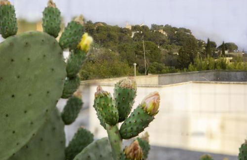 OLTREMARE casa per vacanze con terrazzo e 3 camere con 6 PL - Foto 23