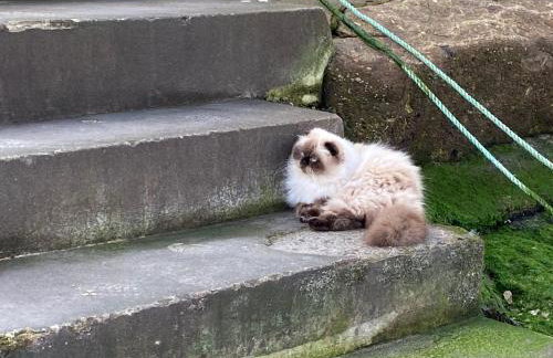 The Old Gallery - Charming Coastal Escape For Two - Photo 80