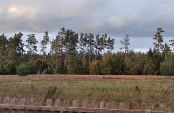 Zielony domek nad Marychą w Budwieć - Foto 41