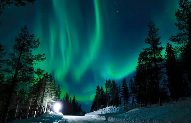 Northern Lights Husky Sleigh Ride - Photo 1