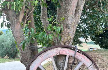 Agriturismo Collamato - Foto 44