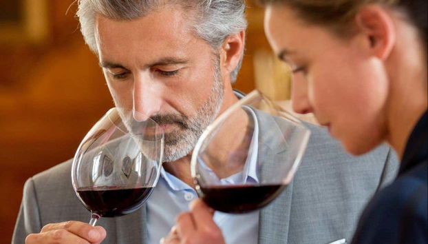 Château Pape Clément Tour - Foto 5