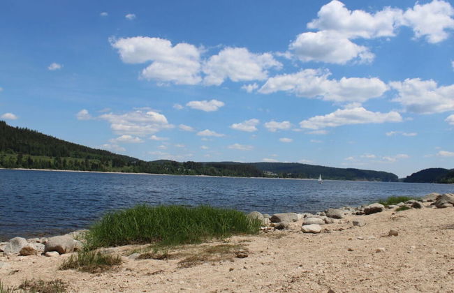 Holiday Apartment Biermann - Foto 10