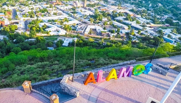 Álamos visto das alturas