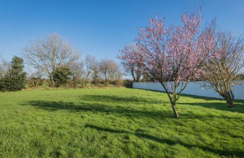 Big White House - Foto 22