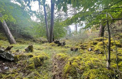 Modern Mountain Lake House - Foto 69