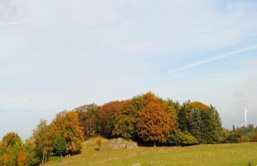 Ferienwohnung in Bontkirchen - Foto 28