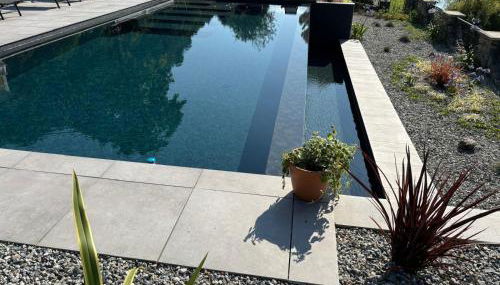 Rosa del lago - Foto 3