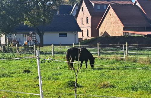 Bauwagen "Rhumeblüte" - Foto 18