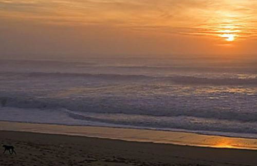 Maison neuve avec piscine chauffée, 4 kms de Contis plage - Foto 29