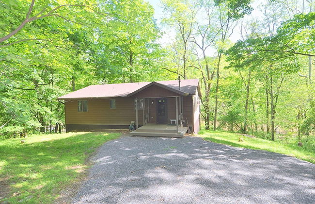 Chesnutt Cabin on the Cacapon River - Foto 43