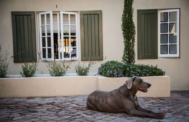 La Clé Lodge - Foto 45