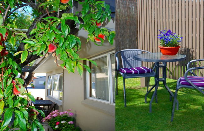 Almond Court Motel - Foto 58