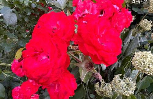 Brakel Monteu -Ferin Wohnung 1-5xDouble Zimmer - Foto 24