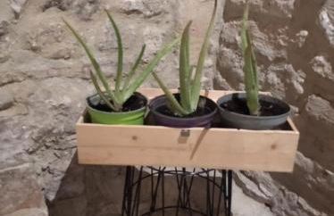 Alloggio turistico via Leone IV 23 Amelia Umbria - Foto 10