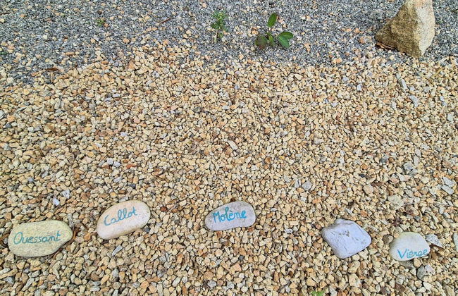 Stone House in Brittany Near Roscoff & Beaches - Foto 13