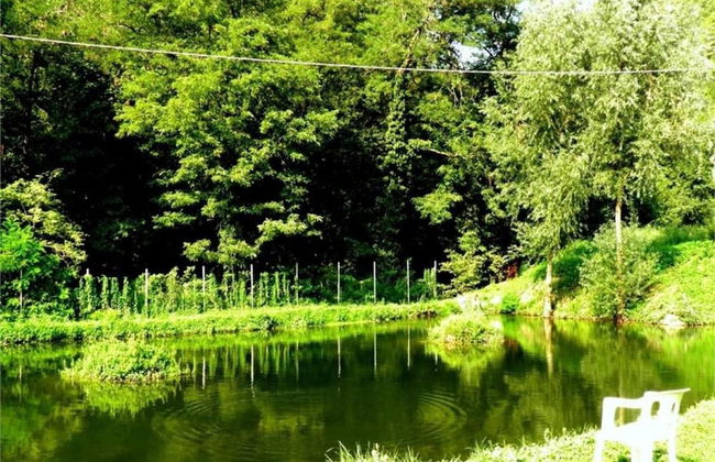 Guest House in Monferrato With Wine Tasting - Foto 38