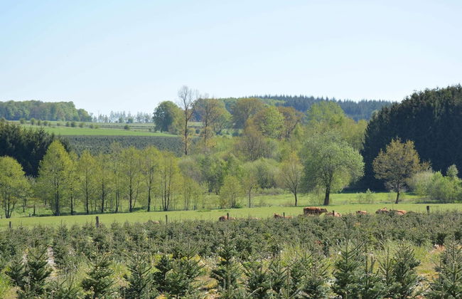 Cottage With Foosball & Garden - Foto 30