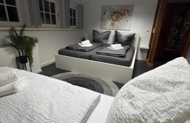 einfachHEIMISCH - GameLOFT - Shuffleboard - 3WCs - Arcade - Nintendo - Foto 16