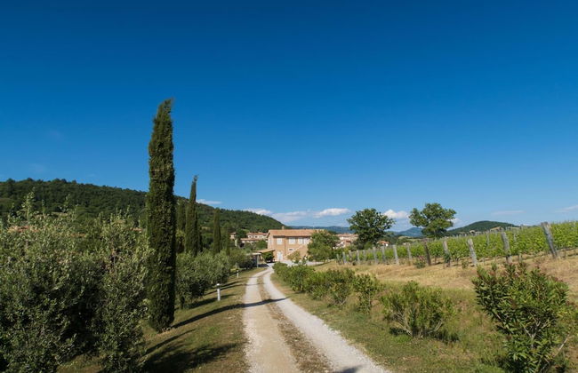 Bio Agriturismo Poggio Aione - Foto 54