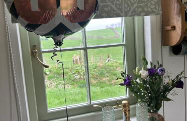 Cosy Owls Roost Hut With Private Hot Tub - Foto 74