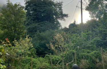 DeNi's Ferienwohnungen - Foto 33