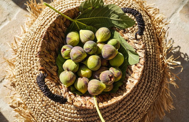 Pharos Apartments - Foto 46