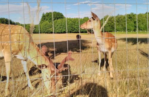 Haus der 16 Seen - Foto 54