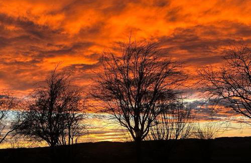 2-Zi. Luxus Appartement mit Bademantelgang zur Wohlfühltherme - Foto 13