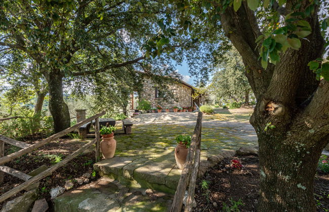 Fonte al Tesoro - Foto 4