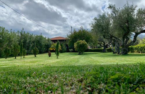 Aggelos and Thisbe Chania Suburbs Sea View Guest House - Foto 35