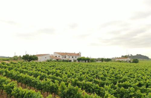 Soul Farm Mas els Igols - Foto 1