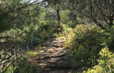 Gîte du Fenouil - Foto 29