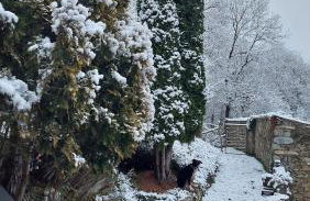 La caseta de Mas Salelles - Photo 26