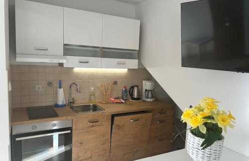 Villa Istriana - Photo 55