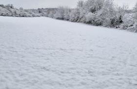 Delightful cabin retreat wrapped by natural beauty - Photo 16