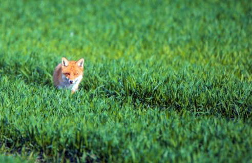 Ferienwohnung Klocksin - Foto 17