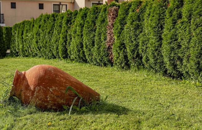 Menada Negresco Apartments - Foto 28