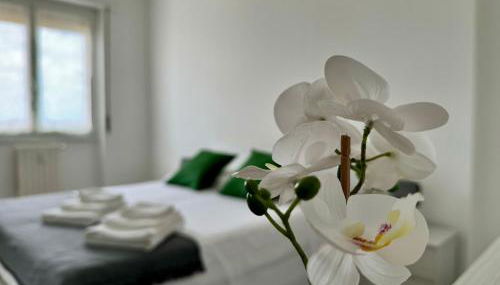 La casa di Paolo - Bollate centro - Foto 5