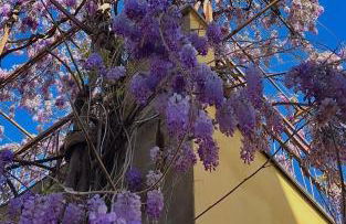 Casa MAZZINI - Foto 11