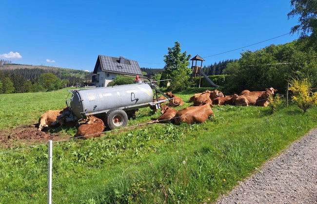 Cozy Apartment Near the Forest in Mark - Foto 25